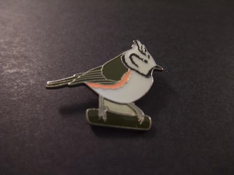 Kuifmees zangvogel